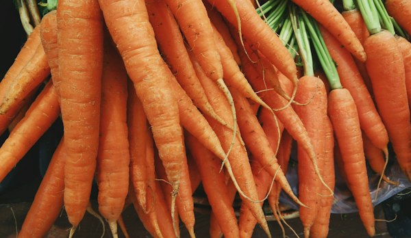 Carrot