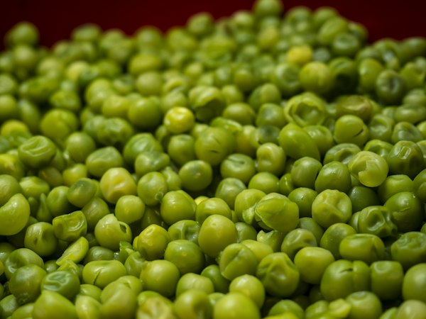 Green Peas