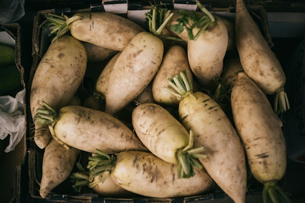 Radish