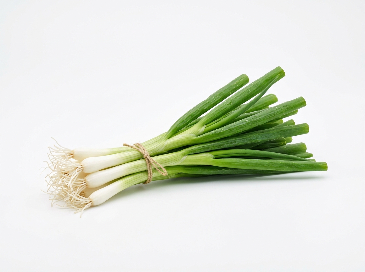 Spring Onion